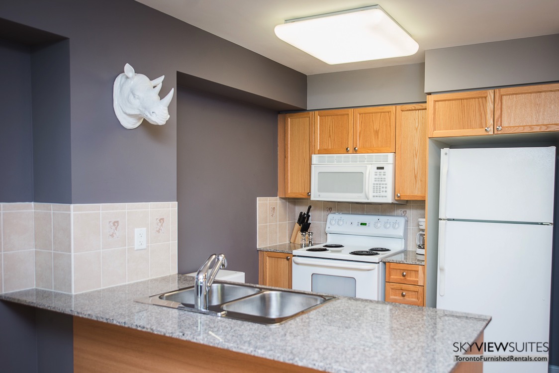 5940 Yonge Street furnished apartment toronto kitchen with rhino head