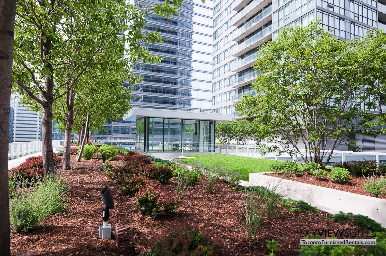 short term rentals Toronto Maple Leaf Square rooftop garden